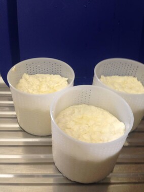 Triple cream brie