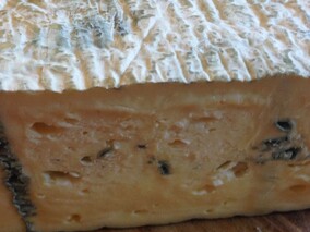Queensland Blue