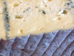 Queensland Blue