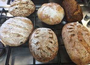 Fun with sourdough