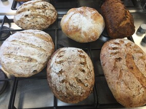 Fun with sourdough