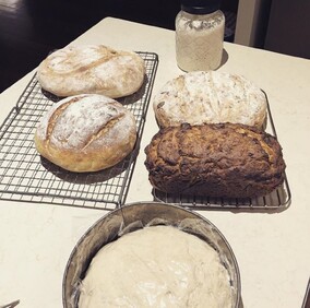 Student takehome - starter, 4 baked bread & one overnight dough
