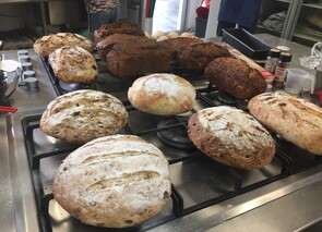 Student Banana, Olive/Cheese & No Knead bread
